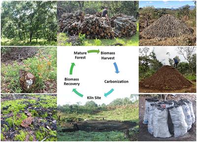 Incorporating Ecohydrological Processes Into an Analysis of Charcoal-Livestock Production Systems in the Tropics: An Alternative Interpretation of the Water-Energy-Food Nexus